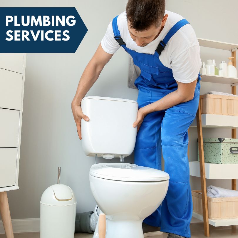 Plumbing Company in Zumbro Falls, MN